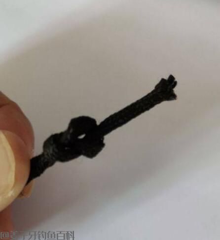 竿稍打结