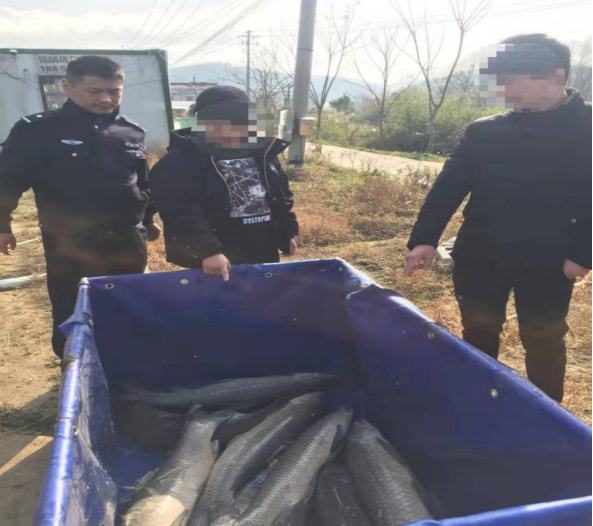 喜欢钓鱼的注意了!这样钓鱼可能是犯罪