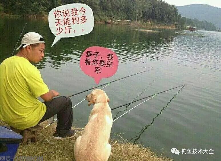 
                    
                    
                    
钓鱼界最喜欢拿来骗人的十句鬼话，你中过招没？
                