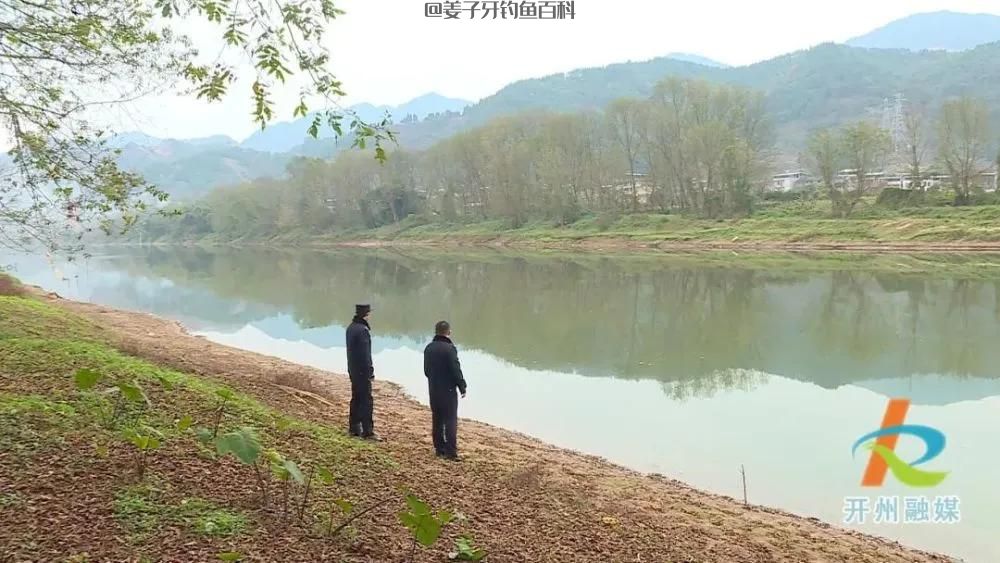喜欢钓鱼的注意，开州一男子用视频杆锚鱼，涉嫌违法被刑拘！