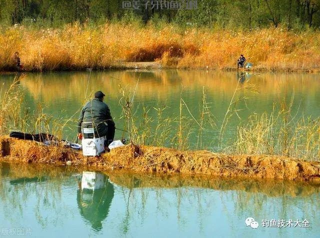 
                    
                    
                    
钓鱼界最喜欢拿来骗人的十句鬼话，你中过招没？
                