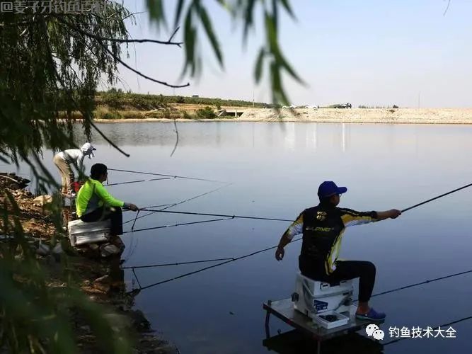 
                    
                    
                    
钓鱼界最喜欢拿来骗人的十句鬼话，你中过招没？
                