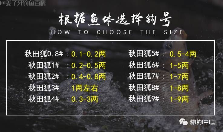 鱼钩的种类