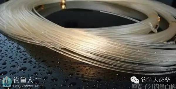 鱼线中的小秘密，你知道多少？