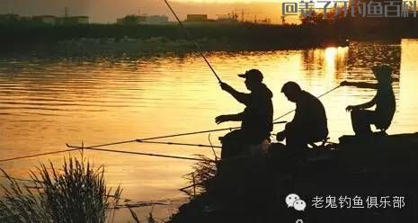 鱼钩的正确使用方法，让你明白钓鱼的时候为何会断勾！