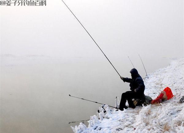 冬季钓鱼,半天没一口,怎么破?按我说的做,要爆护也不难