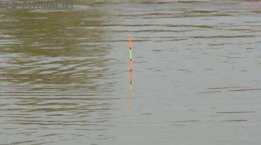 冬季钓鱼,半天没一口,怎么破?按我说的做,要爆护也不难