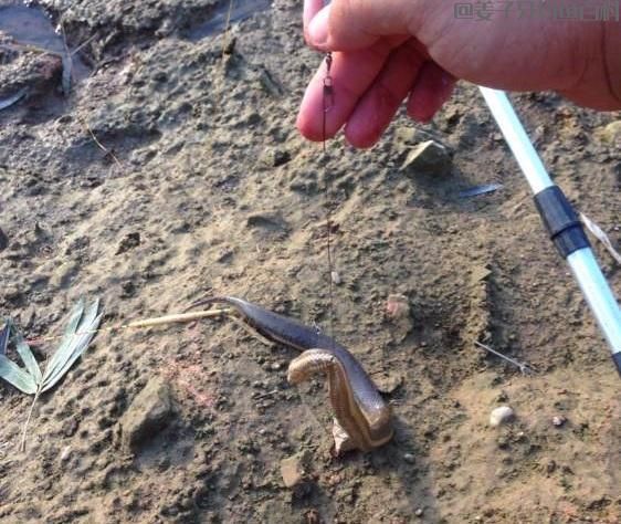 钓鱼新玩法,水库连续遭殃,3天可钓空一个水库,这到底是啥?