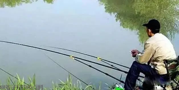 钓鱼不可死等候,东河没鱼西河走,遇到这几种情况要果断换钓位