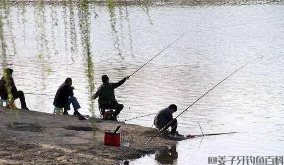 钓鱼不可死等候,东河没鱼西河走,遇到这几种情况要果断换钓位