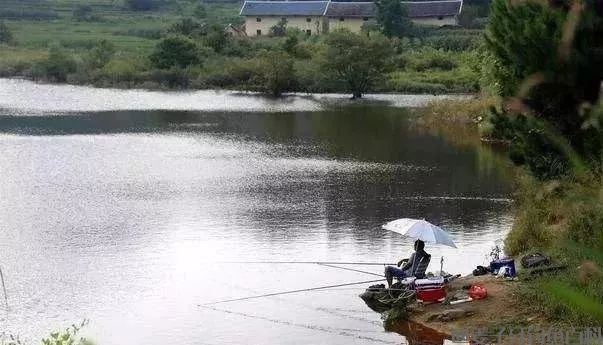 野钓常见的7个误区,最后一条尤其重要!