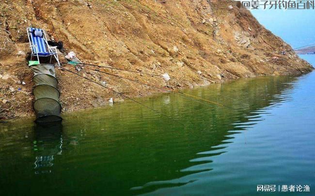 立春过后,气温仍不稳定,野钓做好这4点,连竿爆护照样很轻松