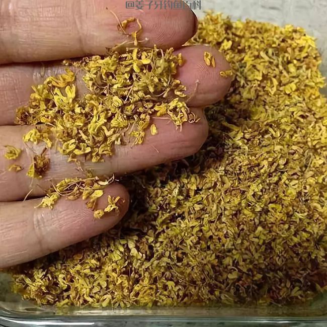 钓鱼饵料：自制红薯钓鱼饵料，鱼疯狂吃口，半天渔货70斤！