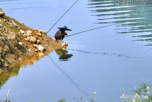 立春过后,气温仍不稳定,野钓做好这4点,连竿爆护照样很轻松