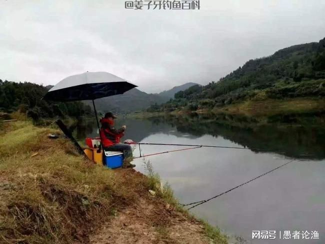 钓鱼最忌钓死鱼，学会这四个变，进化到高手，也就不远了，