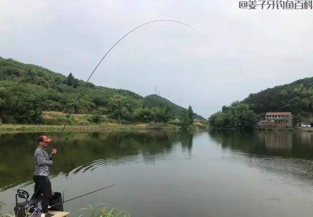 买鱼竿前先看看这篇文章，从野钓到黑坑，整的明明白白