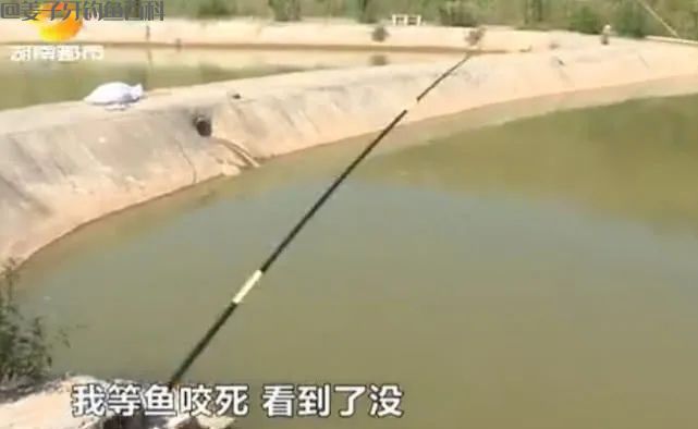 揭秘毒鱼饵10秒诱鱼上钩的真相