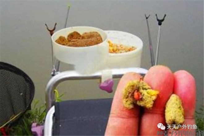 春季野钓鲫鱼、鲤鱼什么样饵料最合适? 这三种非常合适！
