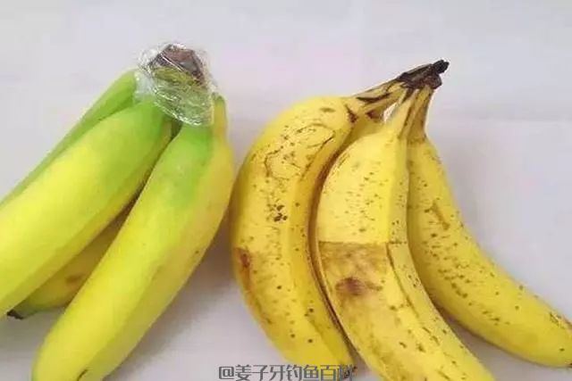 钓鱼窝料别买了，手把手教你自制，简单易学成本低，诱鱼还快