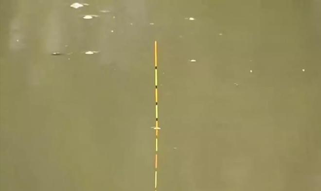 野钓