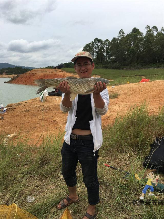 初夏钓草鱼攻略，成本有点儿大，但草鱼确实好吃