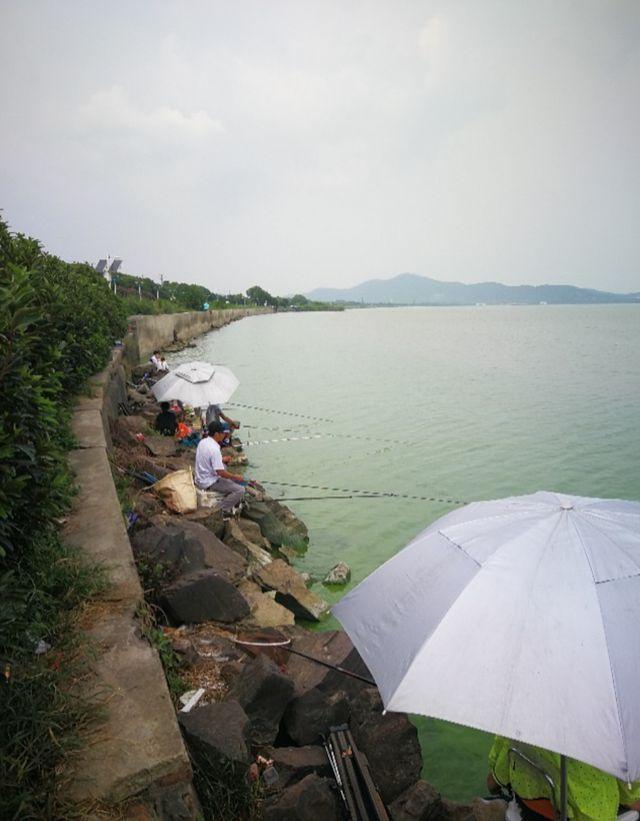 野钓