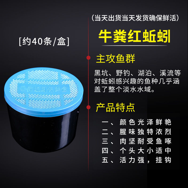 养殖蚯蚓活饵鲜活垂钓鱼饵料鲫鱼鲤鱼黑坑鱼料打窝料鱼食通杀