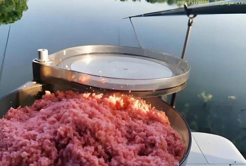 钓鲢鳙需要打窝吗？钓鲢鳙用什么饵料最好？