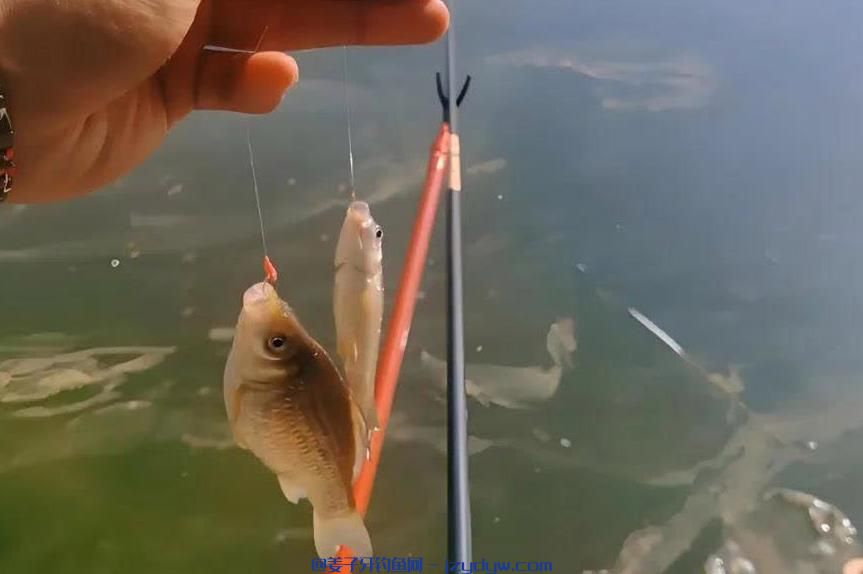 钓鱼的阶段有哪些？来看看你在哪一个阶段了！