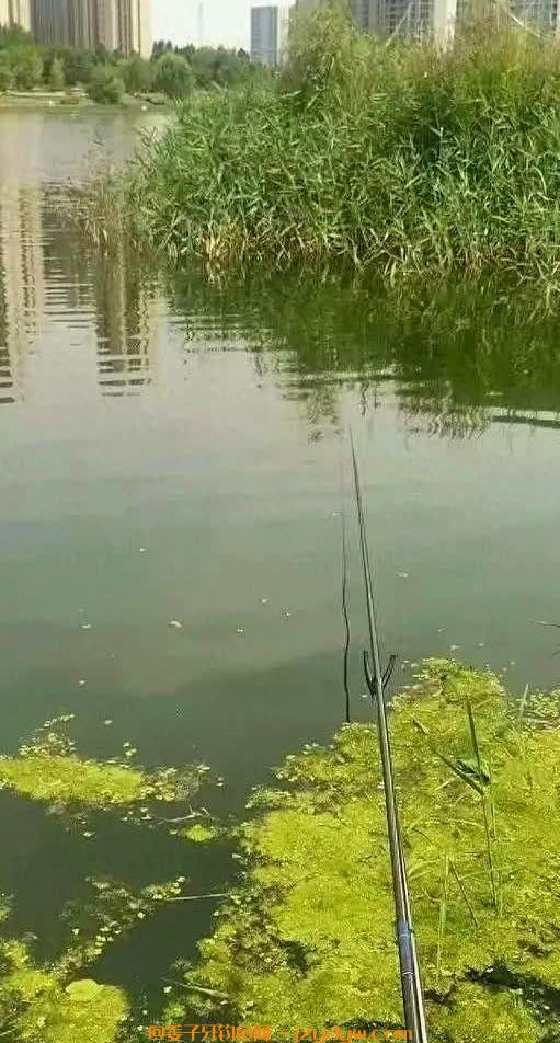 钓鱼人避讳的7个钓鱼口诀！
