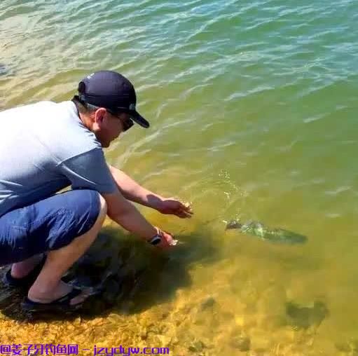 新手刚入门钓鱼必须注意事项，知道这些完美突破新手期！