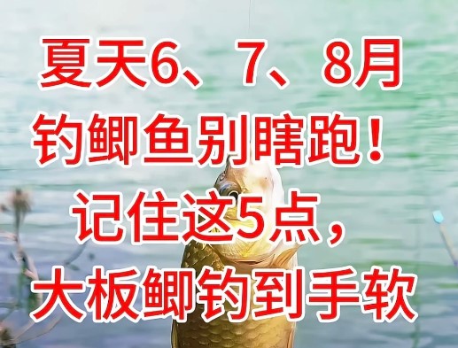 夏天公认钓鲫鱼最快的钓法，一到夏天，鲫鱼就开始躲猫猫，明明有鱼却没口？