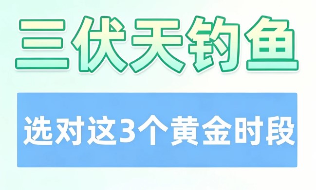 夏季三伏天钓鱼技巧！