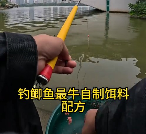 秋冬钓鲫鱼最厉害三个饵料（自制版）！